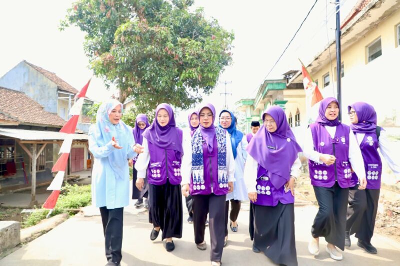 Tinawati Harap Posyandu Mugi Ikhlas Kabupaten Serang Wakili Banten Lomba 6 SPM Tingkat Nasional