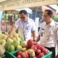 Hadirkan Sembako Terjangkau, Gerakan Pangan Murah di Kelurahan Manis Jaya Diserbu Warga
